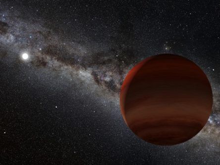 Some of the coolest worlds ever seen have been found in our cosmic backyard