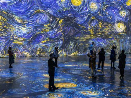 The Irish brothers bringing Van Gogh paintings to life