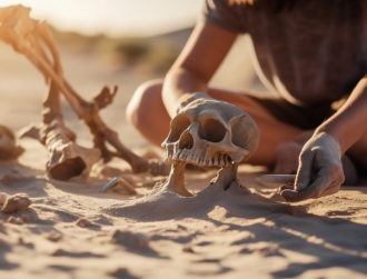 Early humans in Europe were likely wiped out by a big freeze