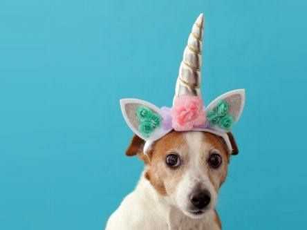 Global start-up report finds huge boom in tech unicorns