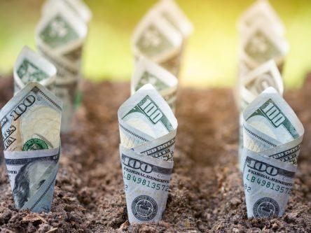 Enterprise Ireland-backed accelerator preps 13 founders to pitch for seed funding