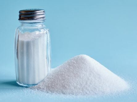 In a pinch: MIT study says salty hydrogels can harvest water from the air