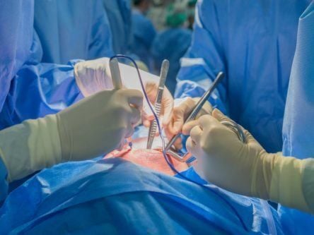 UCD researcher gets EU grant to study pig-to-human heart transplants