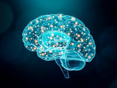 New neuron research could help detect seizures before they happen