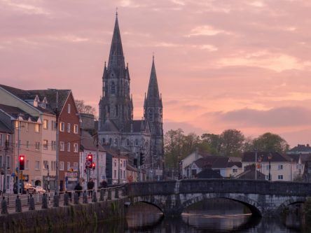 US company SupportNinja to create 50 jobs at Cork centre of excellence