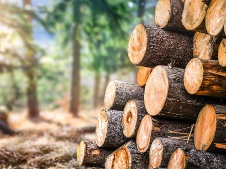 Cork’s Treemetrics is bringing tracing tech to EU forests