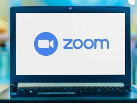 Zoom introduces animal avatars to ‘inject fun’ into work meetings