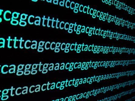 Irish report calls for genomics database to boost healthcare