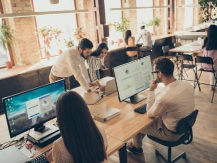 Slight decline in open roles in pharma and IT sectors, says IrishJobs index