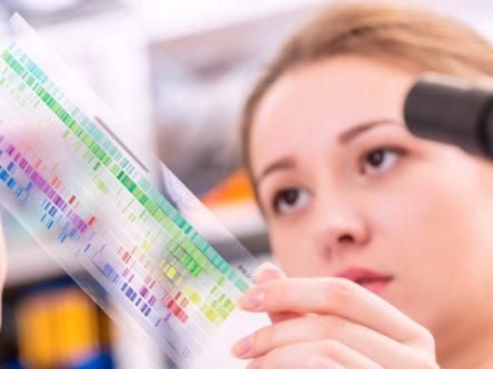 What skills do you need to start a career in quantum?