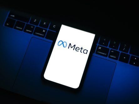 EU regulator criticises how Ireland’s DPC investigated Meta