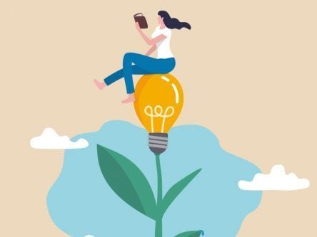 More learning, more experts: How to prepare for AI’s impact on work