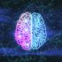 Generative AI hype has hit the ‘peak of inflated expectations’