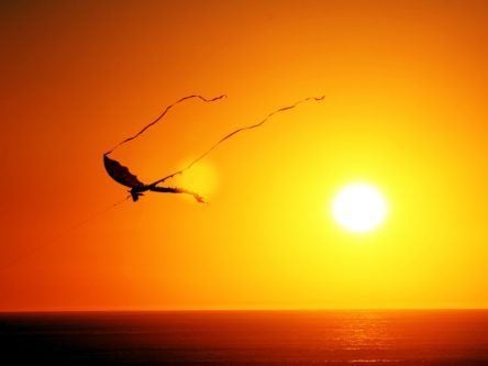 AI-assisted coding start-up Kite sunsets after failing to take flight