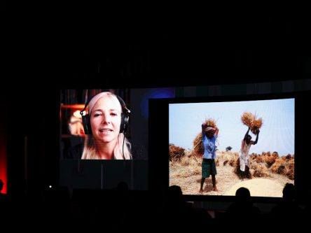 Alice Roberts: ‘We cannot separate ourselves from the rest of nature’
