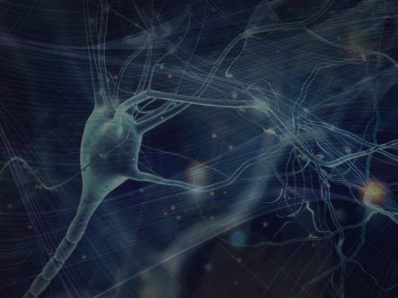 Art and science must stand as partners in the face of great challenges