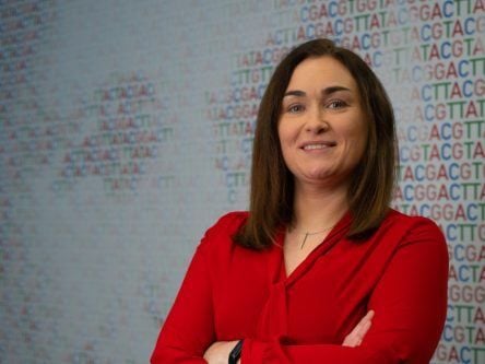 ‘Nothing beats on-the-job learning,’ says this business performance director
