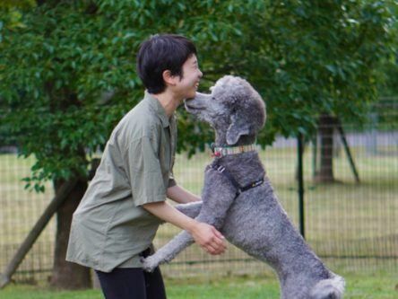 Canine crying controversy: When dogs cry, scientists differ
