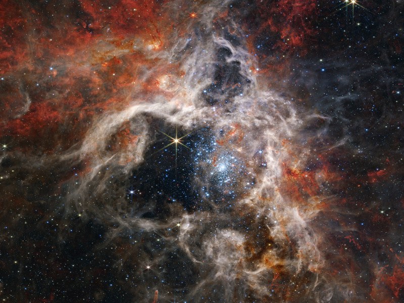 An image of the Tarantula Nebula, with dust and stars visible in the image. Taken from the James Webb Space Telescope.