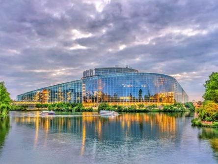 Article 13: What are the next steps for the EU copyright directive?