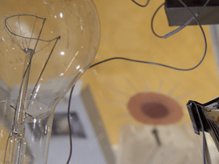 New exhibition to marry art with science through storytelling