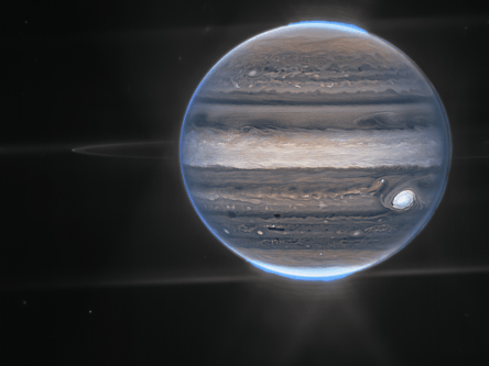 James Webb Space Telescope shows stunning shots of Jupiter
